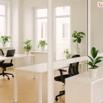 Jasna i nowoczesna przestrzeń biurowa, w której zastosowano system szklanych ścianek działowych Fest opartych na profilach aluminiowych w kolorze białym. Konstrukcja dzieli pomieszczenie na mniejsze strefy pracy, zachowując pełną przezierność dzięki zastosowaniu dużych tafli szkła osadzonych w geometrycznych ramach z poziomymi szprosami. Wewnątrz wydzielonych boksów znajdują się stanowiska pracy wyposażone w minimalistyczne, białe biurka oraz czarne, ergonomiczne fotele obrotowe z siatkowym oparciem. Na jednym z blatów widoczny jest otwarty, czarny laptop. Wnętrze jest intensywnie doświetlone światłem dziennym wpadającym przez duże, białe okna o pionowym podziale, które zajmują znaczną część ściany zewnętrznej. Na parapetach oraz niskich szafkach biurowych ustawiono liczne rośliny doniczkowe w białych osłonkach, co wprowadza naturalny akcent do sterylnej, białej aranżacji. Podłoga w całym biurze została wykończona panelami o jasnym, ciepłym odcieniu drewna, co kontrastuje z chłodną bielą ścian i profili konstrukcyjnych. Całość kompozycji charakteryzuje się wysoką estetyką, funkcjonalnością oraz dbałością o optyczne powiększenie przestrzeni poprzez wykorzystanie transparentnych przegród systemowych