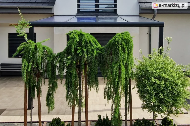 Widok na zadaszenie tarasu z poliwęglanu zamocowane do ściany budynku od frontu poprzez cztery zielone drzewka. Całość tworzy harmonijną i relaksującą przestrzeń na tarasie.