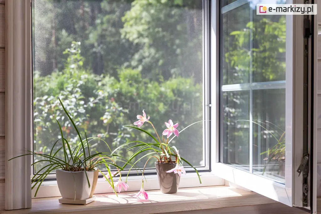 Moskitiera okienna ramkowa zamontowana bezinwazyjnie w ramie okiennej zapewnia dostęp światła dla kwiatów ale nie przepuszcza owadów