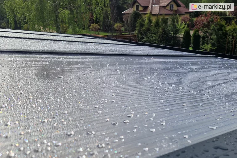 Zadaszenie z poliwęglanu z widocznymi na powierzchni skrystalizowanymi kroplami deszczu, które oświetla słońce. W tle widoczny ogród oraz sąsiedni dom.