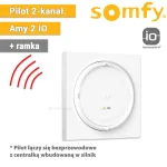 Pilot nascienny amy 2 somfy io 1871094