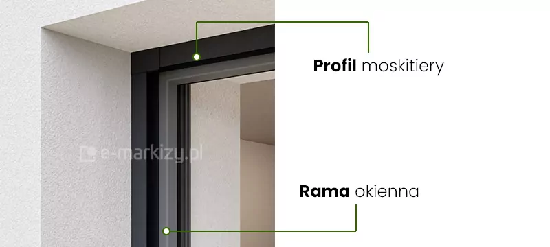 Zdjęcie przedstawia zbliżenie na górny narożnik zewnętrznej wnęki okiennej, w której zamontowana została moskitiera Zig-Zag. Na jasnej, tynkowanej elewacji budynku widoczna jest czarna rama okienna oraz dopasowany do niej kolorystycznie profil moskitiery. Grafika pełni funkcję edukacyjną dzięki zastosowaniu dwóch linii pomocniczych w kolorze zielonym, które wskazują konkretne elementy konstrukcyjne. Górna linia prowadzi od krawędzi obudowy systemu do napisu Profil moskitiery umieszczonego po prawej stronie na białym tle. Dolna linia wskazuje na pionowy element ościeżnicy, łącząc go z napisem Rama okienna. Zdjęcie szczegółowo obrazuje sposób przylegania osłony do stolarki otworowej oraz minimalistyczny design prowadnic, które niemal całkowicie zlewają się z ramą okna. Perspektywa z dołu pozwala dostrzec precyzyjne wykończenie styków profili w narożniku, co podkreśla estetykę i szczelność całego systemu ochrony przed owadami.