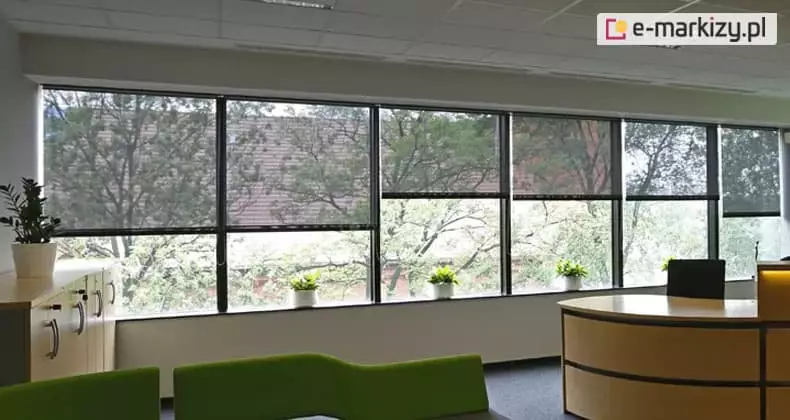 Widok z wnętrza nowoczesnego biura na szeroki pas przeszkleń wyposażonych w wewnętrzne osłony typu refleksol XL-MA z napędem łańcuszkowym. Pięć modułów rolet o ciemnoszarej tkaninie technicznej jest rozwiniętych do różnych wysokości, co pozwala na precyzyjną regulację dopływu światła dziennego do pomieszczenia. Przez przezierną strukturę tkaniny screen widoczna jest panorama zewnętrzna obejmująca korony drzew oraz fragmenty elewacji sąsiedniego budynku. Wnętrze biura obejmuje jasną szafkę z metalowymi uchwytami, biurka o zaokrąglonych kształtach oraz zielone kanapy w strefie wypoczynkowej. Na parapetach pod oknami oraz na szafce ustawiono rośliny doniczkowe w białych osłonkach, a na suficie widoczne są kasetony i oprawy oświetleniowe.