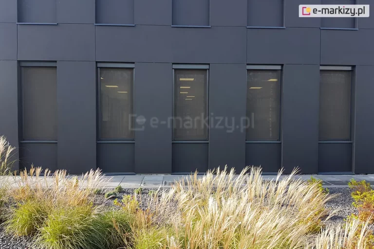 Ściana budynku o grafitowej fasadzie z widocznymi pięcioma okna osłoniętymi refleksol Zip L Zip U. W trzech środkowych oknach widoczne zapalone wewnątrz oświetlenie sufitowe. Przed budynkiem trawnik wysypany drobnymi kamieniami oraz posadzonymi ozdobnymi trawami.