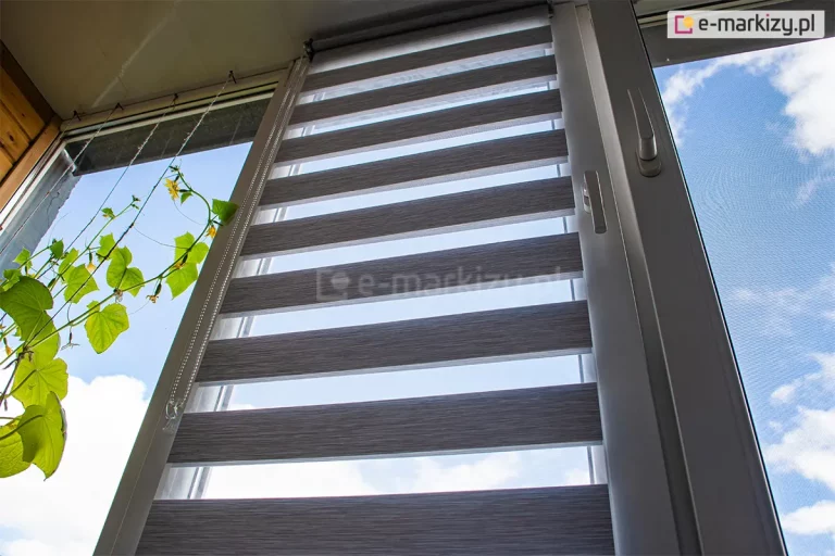 Szare rolety okienne dzień i noc zamontowane na oknie wyposażonym także w moskitierę z kwiatami rosnącymi obok.