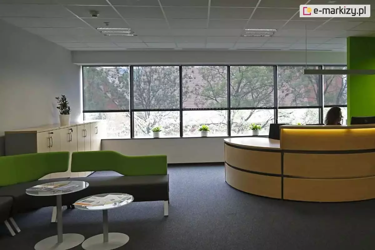 Wnętrze nowoczesnej recepcji z rzędem dużych okien wyposażonych w ciemne rolety materiałowe typu screen. W pomieszczeniu znajduje się zaokrąglona lada recepcyjna z podświetleniem LED, szara sofa z zielonymi zagłówkami, dwa małe stoliki kawowe oraz niskie szafki biurowe. Na parapecie pod oknami oraz na szafce ustawione są rośliny doniczkowe. Za oknami widoczne są drzewa i fragmenty budynków.